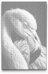  PontPöttyöző - Flamingó közelről Méret: 40x60cm, Keretezés: Kartonlemezen, Szín: Kék