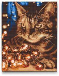  Gyémántszemes kirakó - Macska fényfüzérrel Méret: 40x50cm, Keretezés: Keret nélkül (csak a vászon), Gyémántok: Kerek