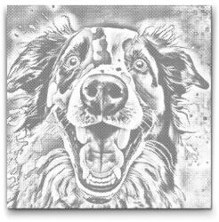  PontPöttyöző - Játékos és vidám kiskutya Méret: 50x50cm, Keretezés: Keret nélkül (csak a vászon), Szín: Piros