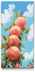  Festés számok szerint - Édes őszibarackok Méret: 40x80cm, Keretezés: Műanyagtáblával