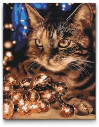  Festés számok szerint - Macska fényfüzérrel Méret: 40x50cm, Keretezés: Keret nélkül (csak a vászon)