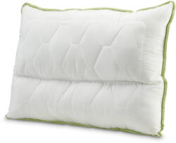 Dormeo perna anatomica Aloe Vera 50X70 cm (1000234192)