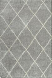  Covor Shaggy Hunter gri 80/150 cm (35756936) Covor