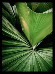  Tablou decorativ verde frunze G&C (92076522)