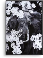  Tablou Flower Elephant 100x68 cm (47197-ZWA)