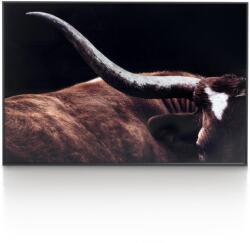  Tablou Rodeo 120x80 cm (48127-MCL)