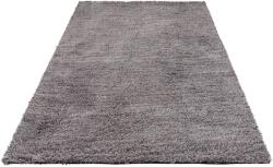  Covor Shaggy Kartal Theko Exklusiv gri 70/140 cm (73382401/2) Covor
