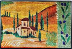  Covoras intrare lavabil Toscana 50/75 cm (112360) Covor