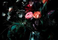  Tapet foto hartie motiv floral Still Life 2, 54 x 3, 68 m (31618442)