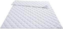  Plapuma din microfibra Melly alba 200/200 cm (38895020)
