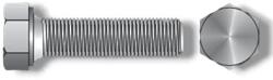  Surub M8x100 8.8 Zn (70351)