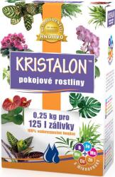 AGRO Kristalon szobanövényekhez 0, 25 kg (000528)