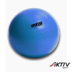 SPARTAN Gimnasztikai labda Power 55 cm kék (57) - aktivsport