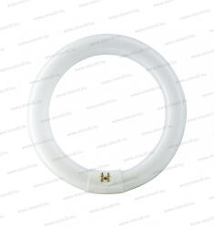 Philips 865/40 40W T9 6500k körfénycső G10q ("A" energiaosztály)