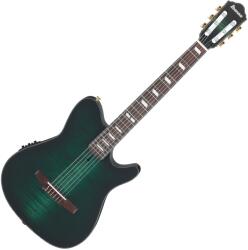 Ibanez FRH20FMN-DGL elektro-klasszikus gitár