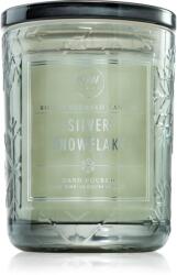 DW HOME Signature Silver Snowflake lumânare parfumată 434 g