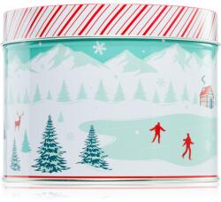 DW HOME Scene & Stripes Cinnamon Gum Drops lumânare parfumată 833 g