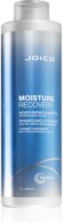 Joico Moisture Recovery sampon hidratant pentru par uscat 1000 ml