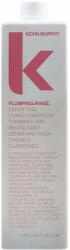 KEVIN.MURPHY Plumping. Rinse Conditioner 1000 ml