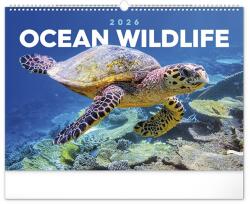 REALSYSTEM Falinaptár REALSYSTEM 480x330mm fekvő Wildlife 2026. 6094-OC (6094-OC)