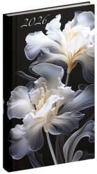 REALSYSTEM Zsebnaptár REALSYSTEM Picture álló fehér lapos Írisz 2026 (5811-60) - tonerpiac