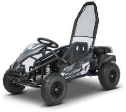 Beneo Benzines gyerekbuggy Beneo Motors BUGGY RSX fekete - 98 cm³