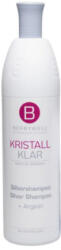 BERRYWELL Care Silver hamvasító sampon 1000 ml
