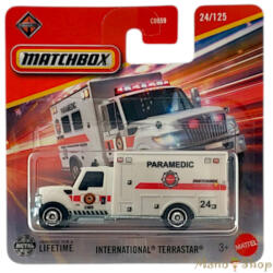 Mattel - International Terrastar (JBT15)