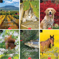  36- Falinaptár CSG 2026 - Kicsi (210x320mm) - 13 mintával