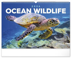 REALSYSTEM Falinaptár REALSYSTEM 480x330mm fekvő Wildlife 2026 (6094-OC) - papir-bolt