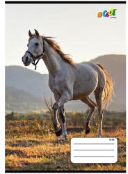  Állatos COOL BY VICTORIA Ló 3. osztályos vonalas füzet (A5/14-32) (COR_2025_ISVFC78_2)