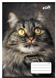 Állatos COOL BY VICTORIA Cica 1. osztályos vonalas füzet (A5/14-32) (COR_2025_ISVFC68_c)