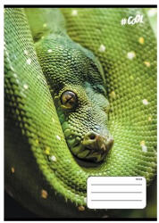  Állatos COOL BY VICTORIA Kígyó 1. osztályos vonalas füzet (A5/14-32) (COR_2025_ISVFC68)