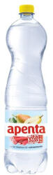 Apenta Vitamixx Körte-Rebarb. 1, 5 L. DRS