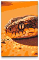  Festés számok szerint - Kígyószem Méret: 40x60cm, Keretezés: Keret nélkül (csak a vászon)