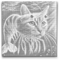  PontPöttyöző - Trippi Troppi Méret: 50x50cm, Keretezés: Műanyagtáblával, Szín: Kék