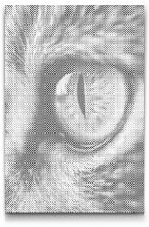  PontPöttyöző - Macskaszem Méret: 40x60cm, Keretezés: Műanyagtáblával, Szín: Fekete