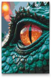  Festés számok szerint - Krokodilszem Méret: 40x60cm, Keretezés: Keret nélkül (csak a vászon)