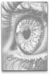  PontPöttyöző - Barna szem Méret: 40x60cm, Keretezés: Keret nélkül (csak a vászon), Szín: Fekete