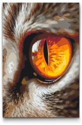  Festés számok szerint - Macskaszem Méret: 40x60cm, Keretezés: Műanyagtáblával