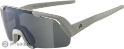 Alpina Ochelari copii ALPINA ROCKET YOUTH, cool grey mat