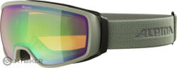 Alpina DOUBLE JACK Q Lite Ochelari de schi, gri lunar