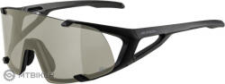 Alpina Ochelari ALPINA HAWKEYE Q-lite, negru mat