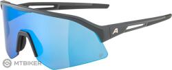 Alpina Ochelari ALPINA SONIC HR Q, gri