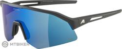 Alpina Ochelari ALPINA SONIC HR Q-lite, negri