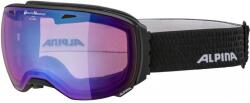 Alpina Ochelari schi ALPINA BIG HORN QVM, negri mat