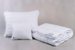  Aloe Vera nyári garnitúra