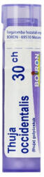 Boiron Thuja Occidentalis golyócskák C30 4 g