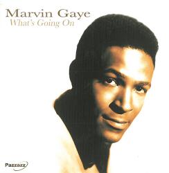 Trader KFT - Indiego Marvin Gaye - What's Going On (CD) (1PAZZ0031)