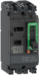 Schneider Electric ComPacT NSX (2021) - C10F2TM063 - Megszakító NSX100F AC/DC, 18 kA 415 VAC, TMD kioldóegység 63 A, 2P2d (C10F2TM063)